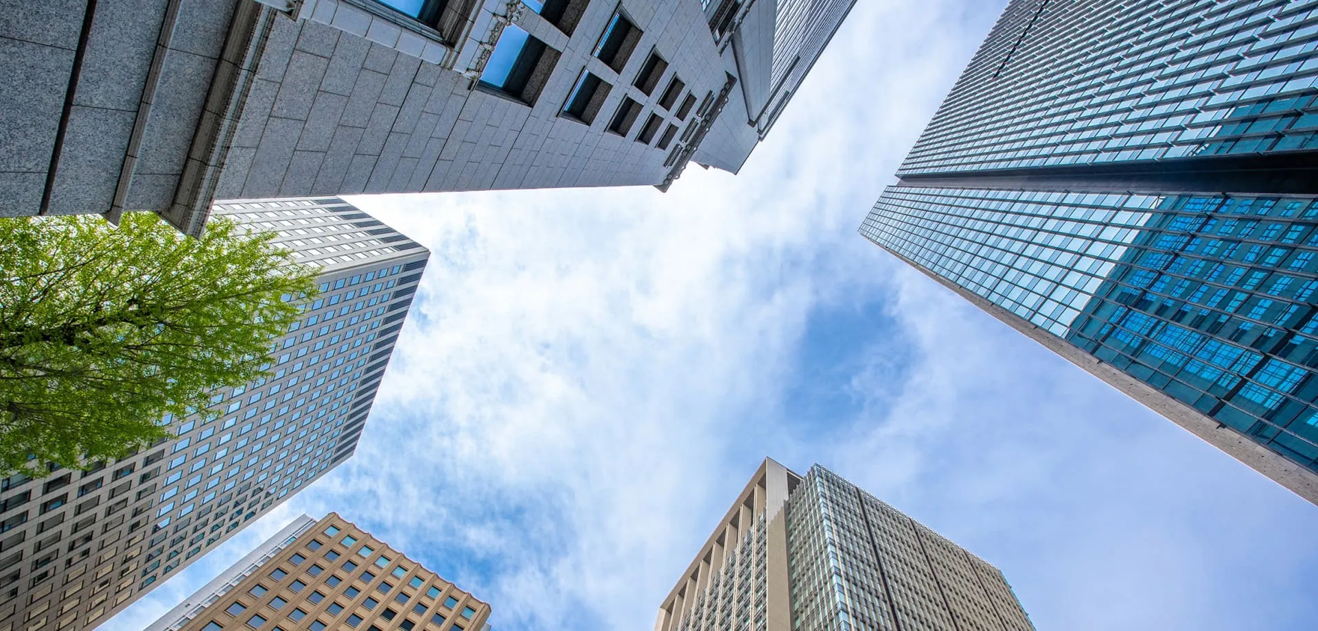 プライバシーポリシー